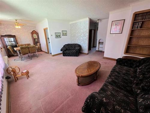 1066 Downing St, Winnipeg, MB 