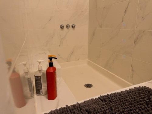 Salle de bains - 1-87 Rue Milton, Montréal (Le Plateau-Mont-Royal), QC - Indoor Photo Showing Bathroom