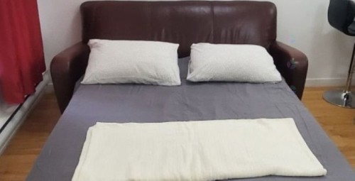 Salon - 1-87 Rue Milton, Montréal (Le Plateau-Mont-Royal), QC - Indoor Photo Showing Bedroom