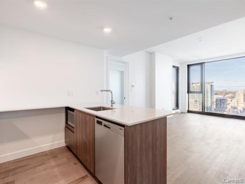 Salon - 3208-1245 Rue De Bleury, Montréal (Ville-Marie), QC - Indoor Photo Showing Kitchen