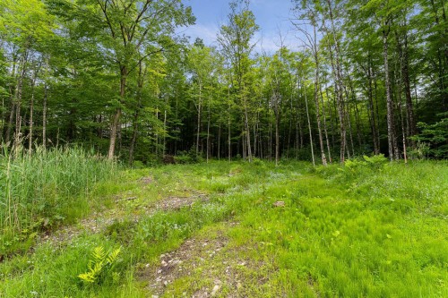 Lot - Rue Gaspard, Magog, QC 