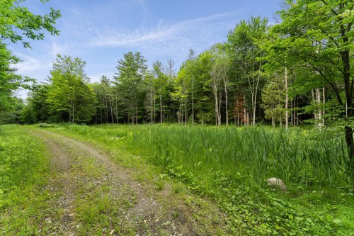 Lot - Rue Gaspard, Magog, QC 