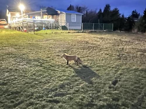 402 Smith Point Road, Fox Harbour, NS 