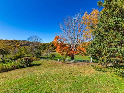 481 Chute Road, Bear River, NS 