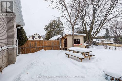 Tiki Bar - 131 Albert Street, Collingwood, ON - Outdoor