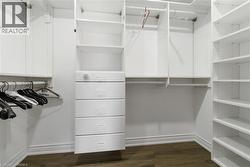 primary bedroom walk in - 