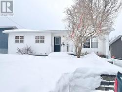 12 Park Street  Grand Falls-Windsor, NL A2B 1C6