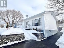12 Park Street  Grand Falls-Windsor, NL A2B 1C6