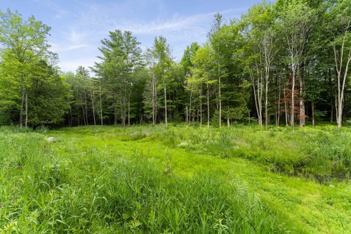 Terre/Terrain - Rue Gaspard, Magog, QC 