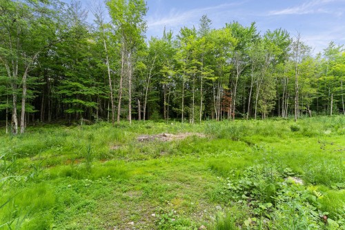Terre/Terrain - Rue Gaspard, Magog, QC 