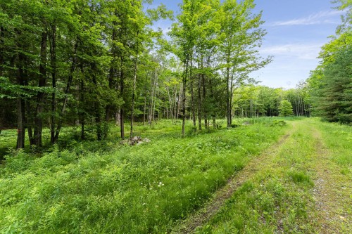 Terre/Terrain - Rue Gaspard, Magog, QC 