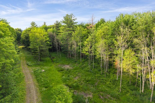 Photo aérienne - Rue Gaspard, Magog, QC 