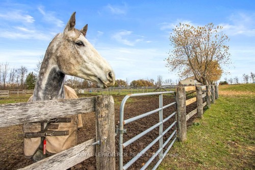 5706 Third Line, Erin, ON 