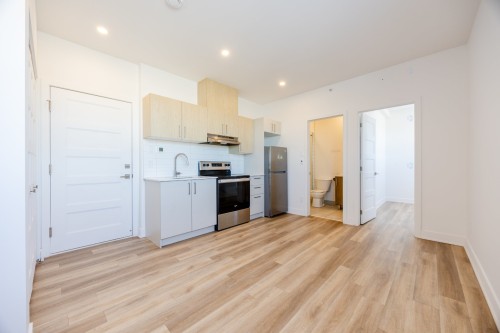 Living Room - 404-2693 Boul. Pie-Ix, Montréal (Mercier/Hochelaga-Maisonneuve), QC - Indoor Photo Showing Kitchen