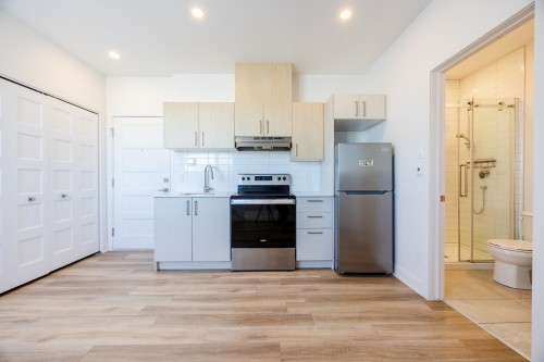 Kitchen - 404-2693 Boul. Pie-Ix, Montréal (Mercier/Hochelaga-Maisonneuve), QC - Indoor Photo Showing Kitchen