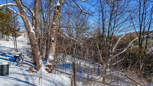 Extérieur - 3 Rue Vertu, Windsor, QC - Outdoor With View