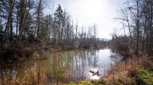 8797 Chemainus Rd, Chemainus, BC 