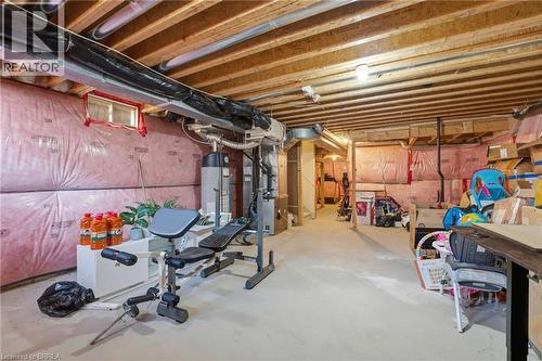 29 Arnold Marshall Boulevard, Caledonia, ON - Indoor Photo Showing Basement