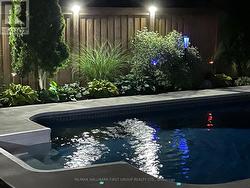 Beautiful Mature Gardens - 