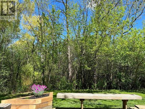 16 Willis Drive, Aurora, ON - Outdoor With View