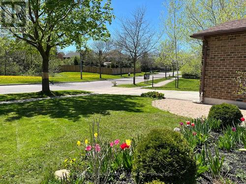 16 Willis Drive, Aurora, ON - Outdoor