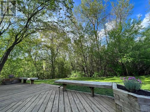 16 Willis Drive, Aurora, ON - Outdoor With Deck Patio Veranda