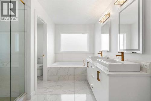 94 Cornerbrook Crescent Ne, Calgary, AB - Indoor Photo Showing Bathroom