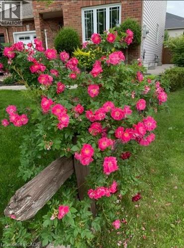 4 Richview Drive, Hamilton, ON - Outdoor