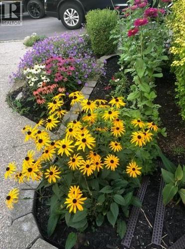 4 Richview Drive, Hamilton, ON - Outdoor