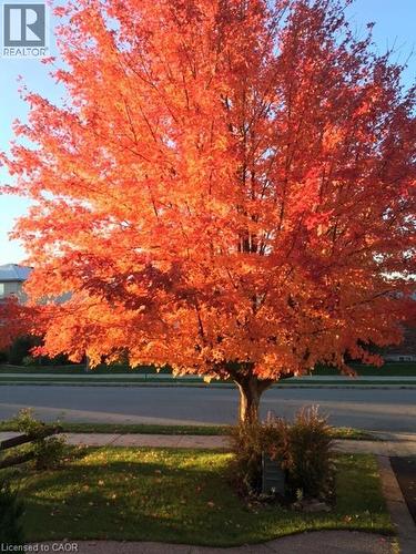 4 Richview Drive, Hamilton, ON - Outdoor With View