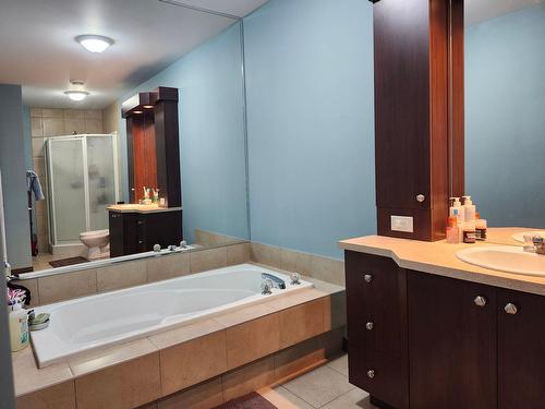Bathroom - 304-2308 Rue Racine, Longueuil (Saint-Hubert), QC - Indoor Photo Showing Bathroom