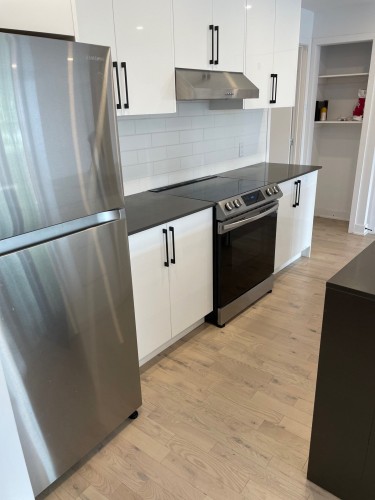 Cuisine - 1796 Boul. St-Joseph, Montréal (Lachine), QC - Indoor Photo Showing Kitchen