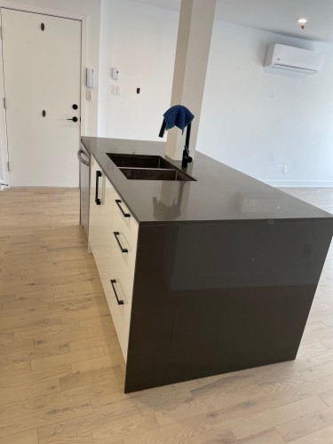 Cuisine - 1796 Boul. St-Joseph, Montréal (Lachine), QC - Indoor Photo Showing Kitchen With Double Sink