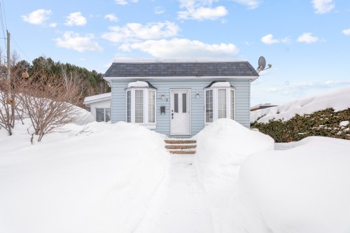 6 Rue Raymond  Sainte-Agathe-Des-Monts, QC J8C 2X1