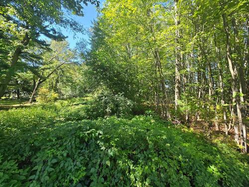 Terre/Terrain - Ch. Newton, Mascouche, QC 