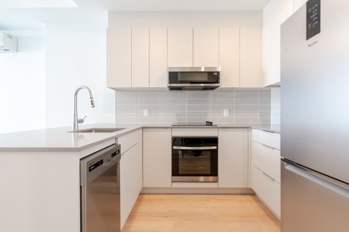 4410-1001 Rue Lucien-L'Allier , Montréal (Ville-Marie), QC H3G 0G7 3