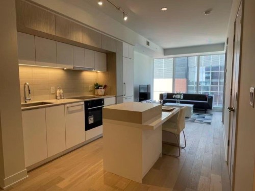 Cuisine - 1609-1288 Rue St-Antoine O., Montréal (Ville-Marie), QC - Indoor Photo Showing Kitchen