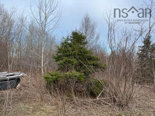 Highway 204, Little River, NS 
