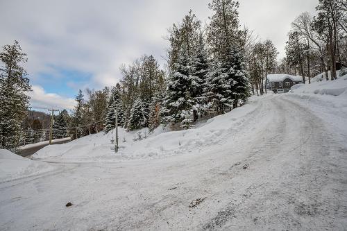 Vue d'ensemble - 1377 Ch. Gémont, Saint-Adolphe-D'Howard, QC - Outdoor