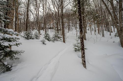 Autre - 1377 Ch. Gémont, Saint-Adolphe-D'Howard, QC - Outdoor With View