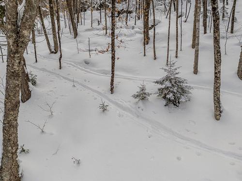 Autre - 1377 Ch. Gémont, Saint-Adolphe-D'Howard, QC - Outdoor With View