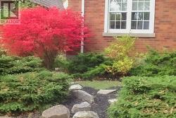 SUMMER FRONT HOUSE - 