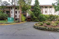 203-1009 McKenzie Ave  Saanich, BC V8X 4B1