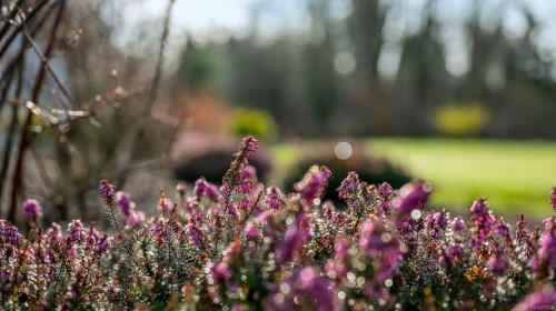 3767 Maple Lane, Royston, BC 