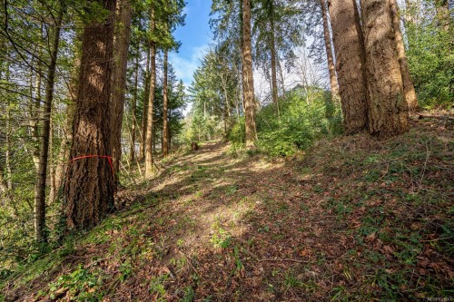 1179 Moore Rd, Comox, BC 