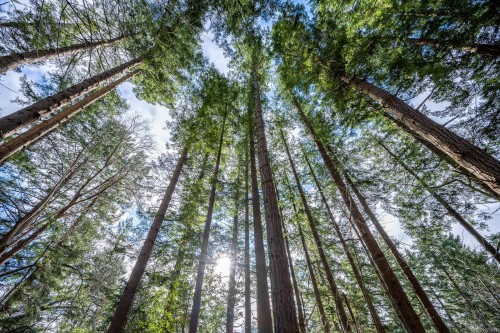 1179 Moore Rd, Comox, BC 