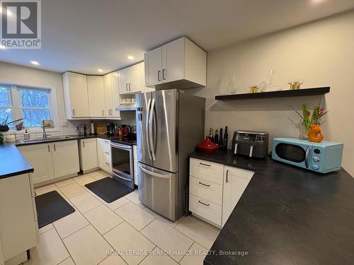 104 Blackburn Avenue, Ottawa, ON - Indoor Photo Showing Kitchen