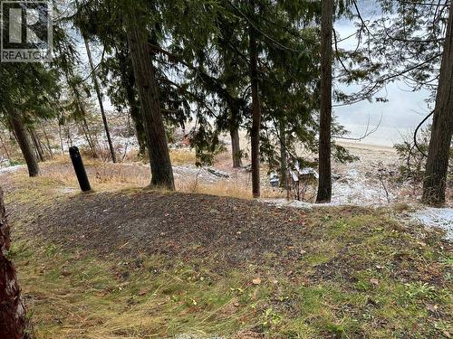 6802 Marian Lane, Nelson, BC 