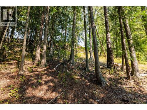 6802 Marian Lane, Nelson, BC 