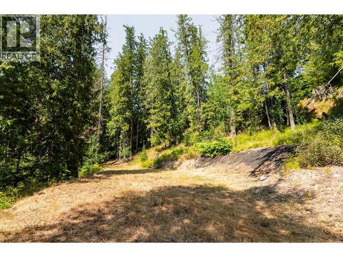 6802 Marian Lane, Nelson, BC 